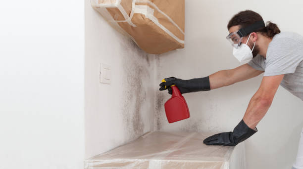 Professional Crawl Space Mold Remediation technician working in Riverside, PA