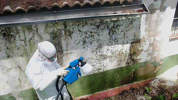Top rated local Crawl Space Mold Remediation specialists in Riverside, PA